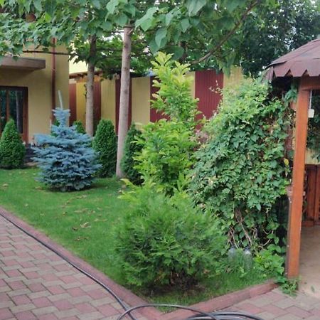 Cazare Buzau Διαμέρισμα Εξωτερικό φωτογραφία